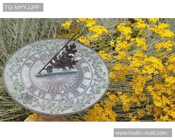 飞盘追梦：赵芳如何在运动中找到自我与人生的意义